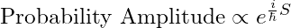 Rendered by QuickLaTeX.com \text{Probability Amplitude} \propto e^{\frac{i}{\hbar} S}